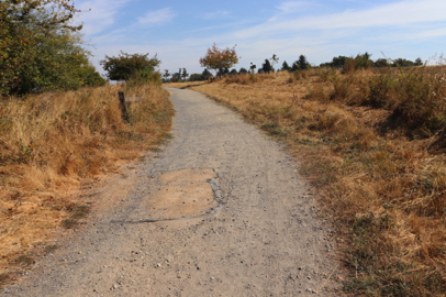 Forest Edge Trail ends at Meadowland Lane a wide natural surface trail – may have areas of erosion